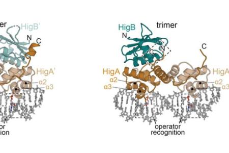 SER-CAT Young Investigator